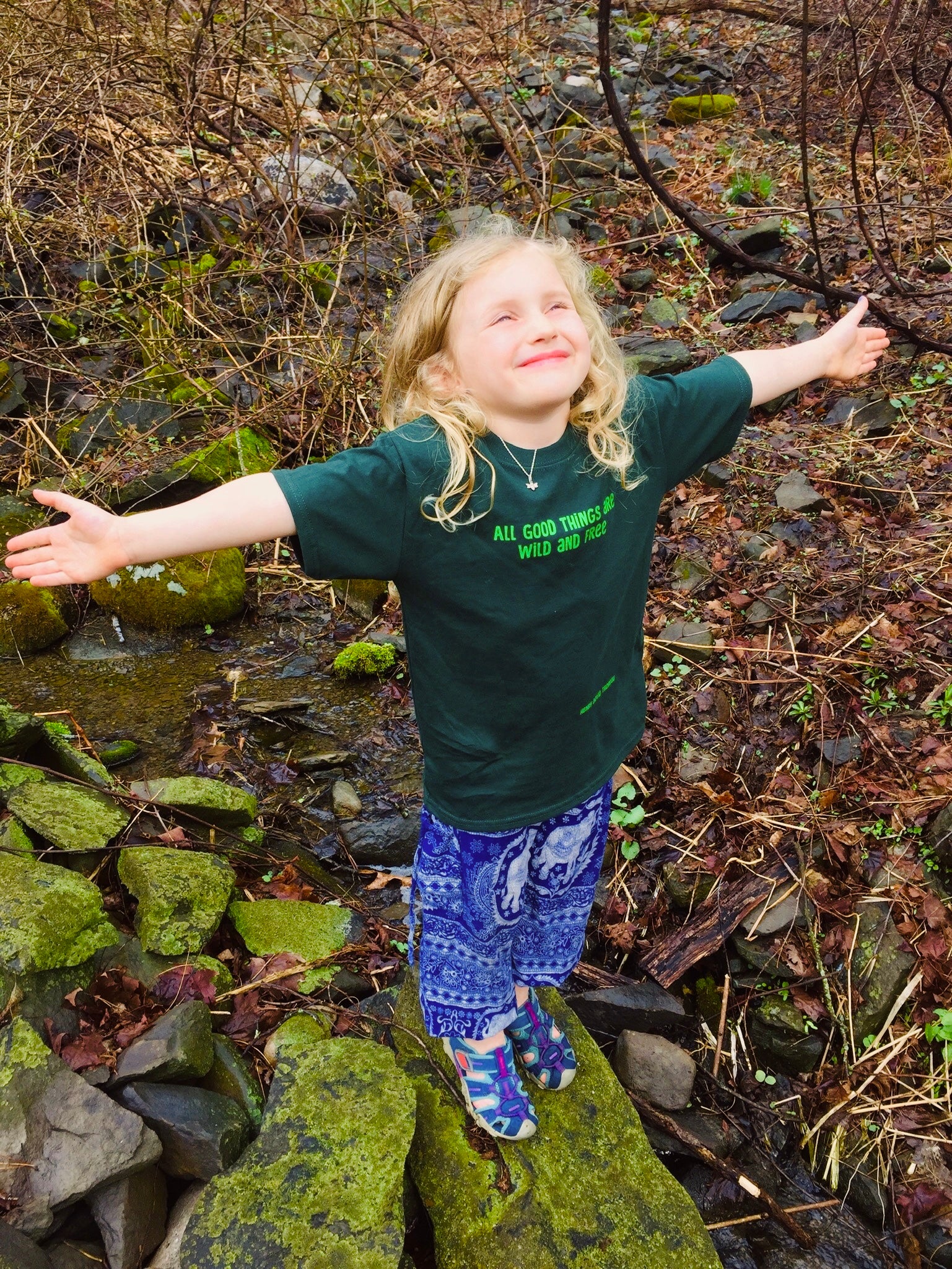 Wild and Free T-shirt - Image 3