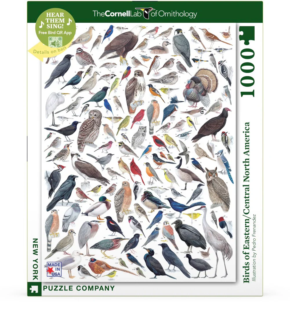 Birds of Eastern and Central North America: 1,000-Piece Puzzle - Image 3