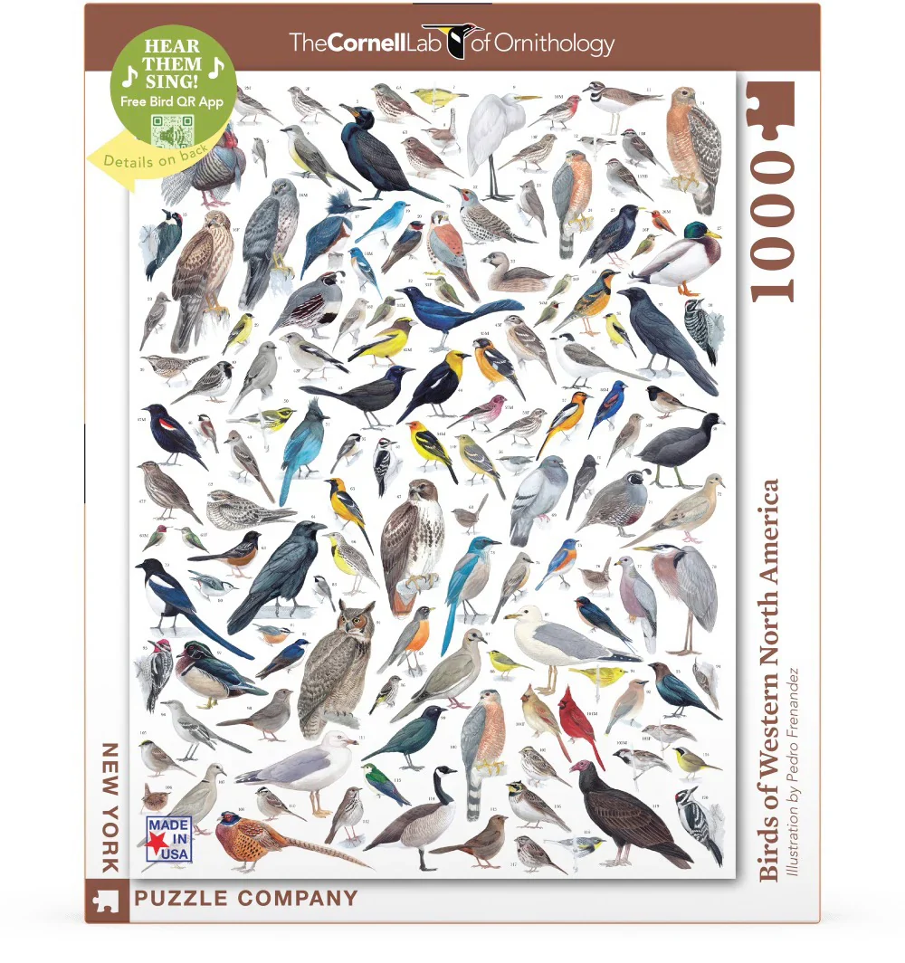 Birds of Western North America: 1,000-Piece Puzzle - Image 3