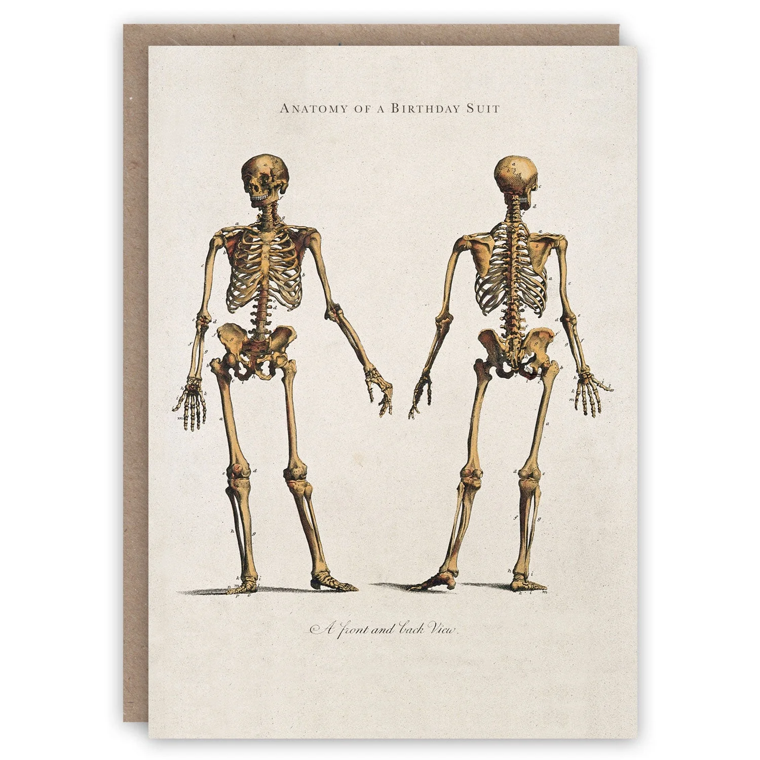 The Cabinet of Curiosities Greeting Card Collection - Image 11