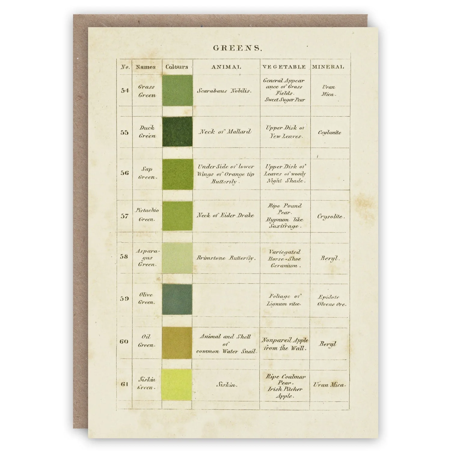 The Cabinet of Curiosities Greeting Card Collection - Image 12