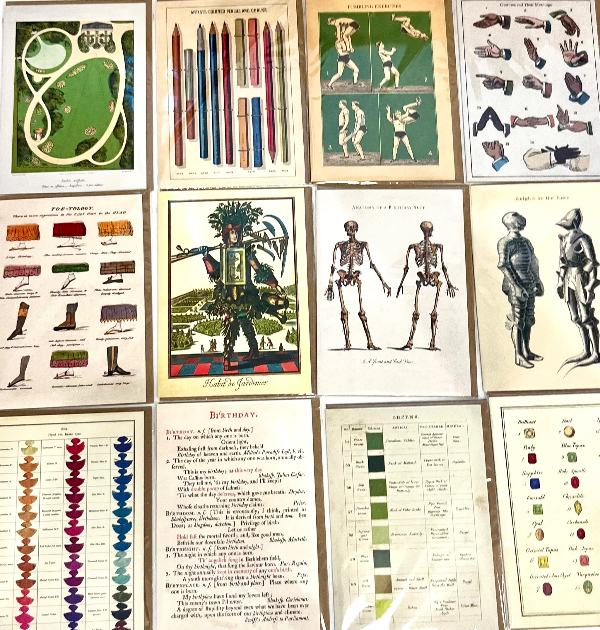 The Cabinet of Curiosities Greeting Card Collection - Image 29