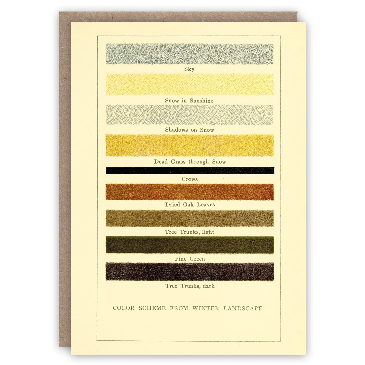 The Cabinet of Curiosities Greeting Card Collection - Image 4
