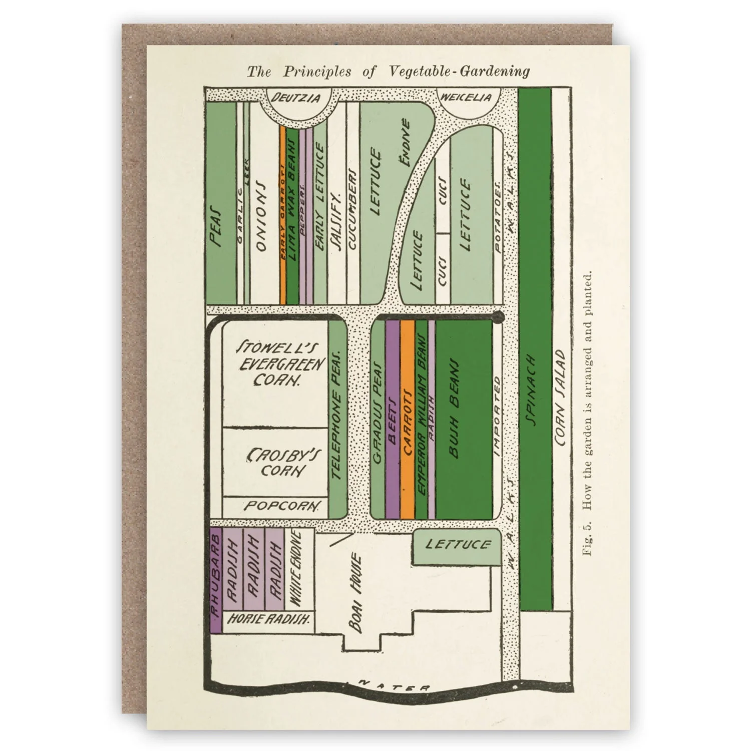 The Cabinet of Curiosities Greeting Card Collection - Image 5