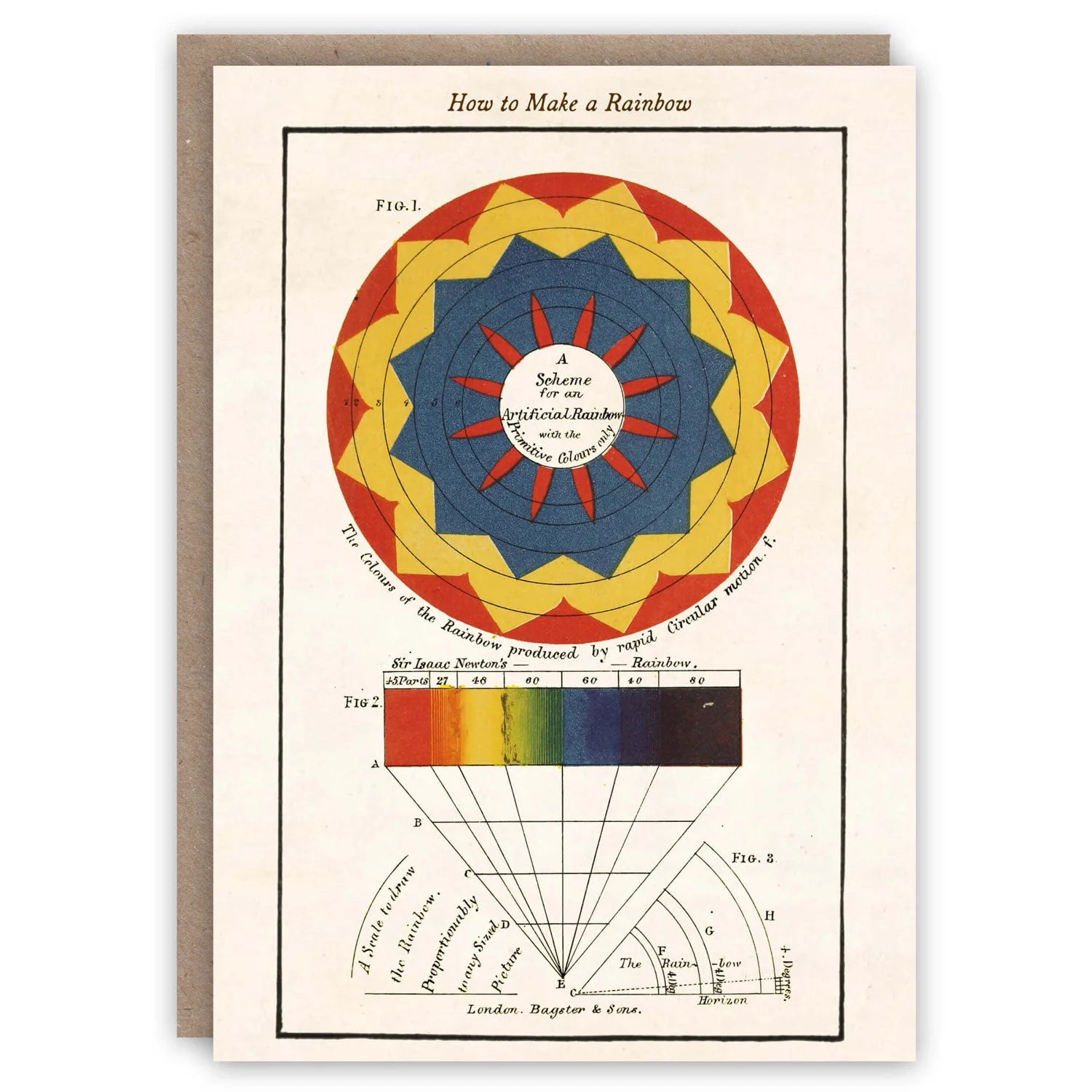 The Glory of Color Greeting Card Collection - Image 3