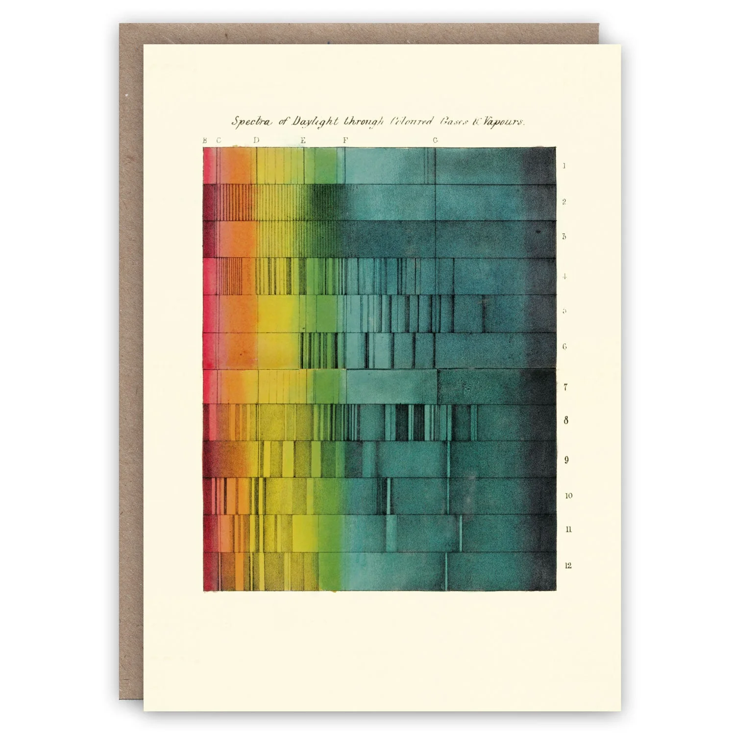The Glory of Color Greeting Card Collection - Image 6