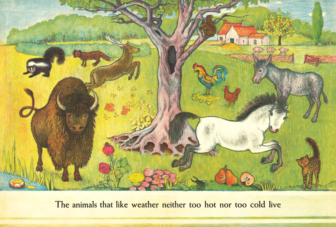D’Aulaires’ Book of Animals - Image 4