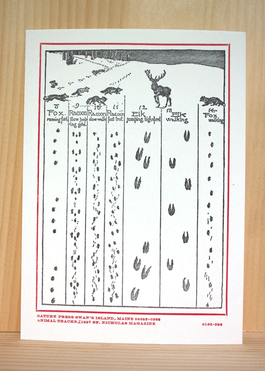 Animal Tracks in the Snow Cards - Image 3