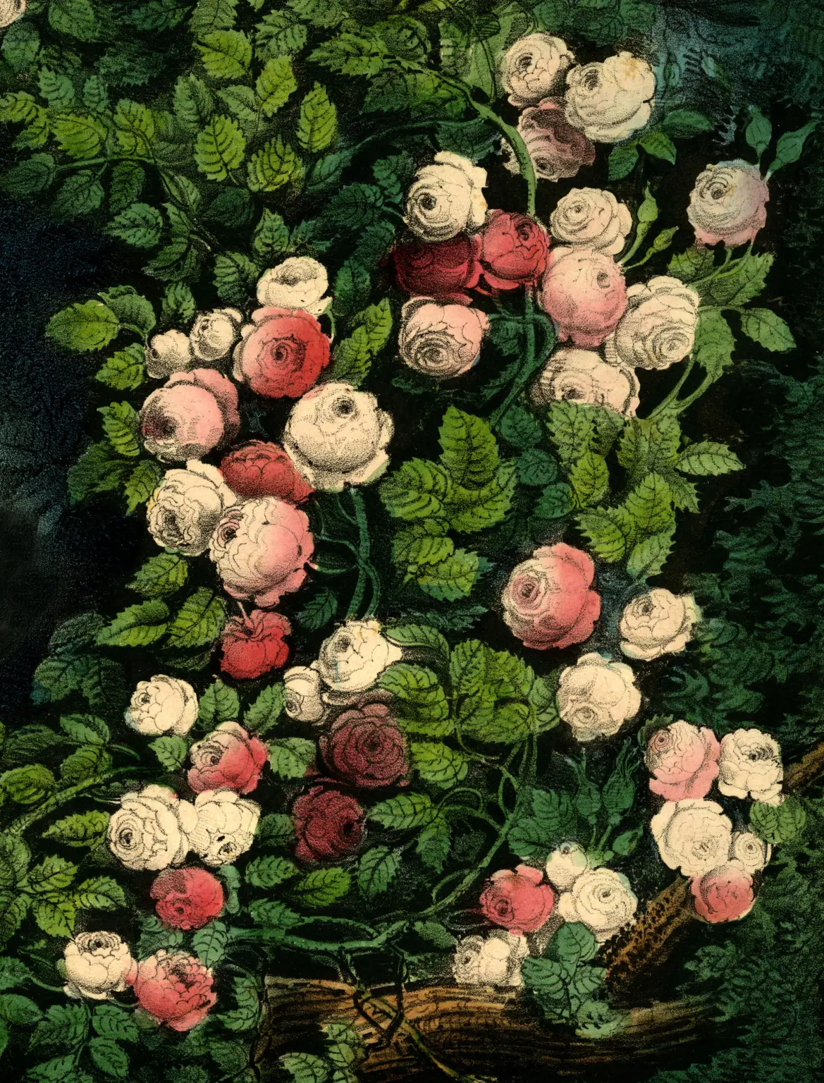 John Derian Wrapping Paper Books - Image 2