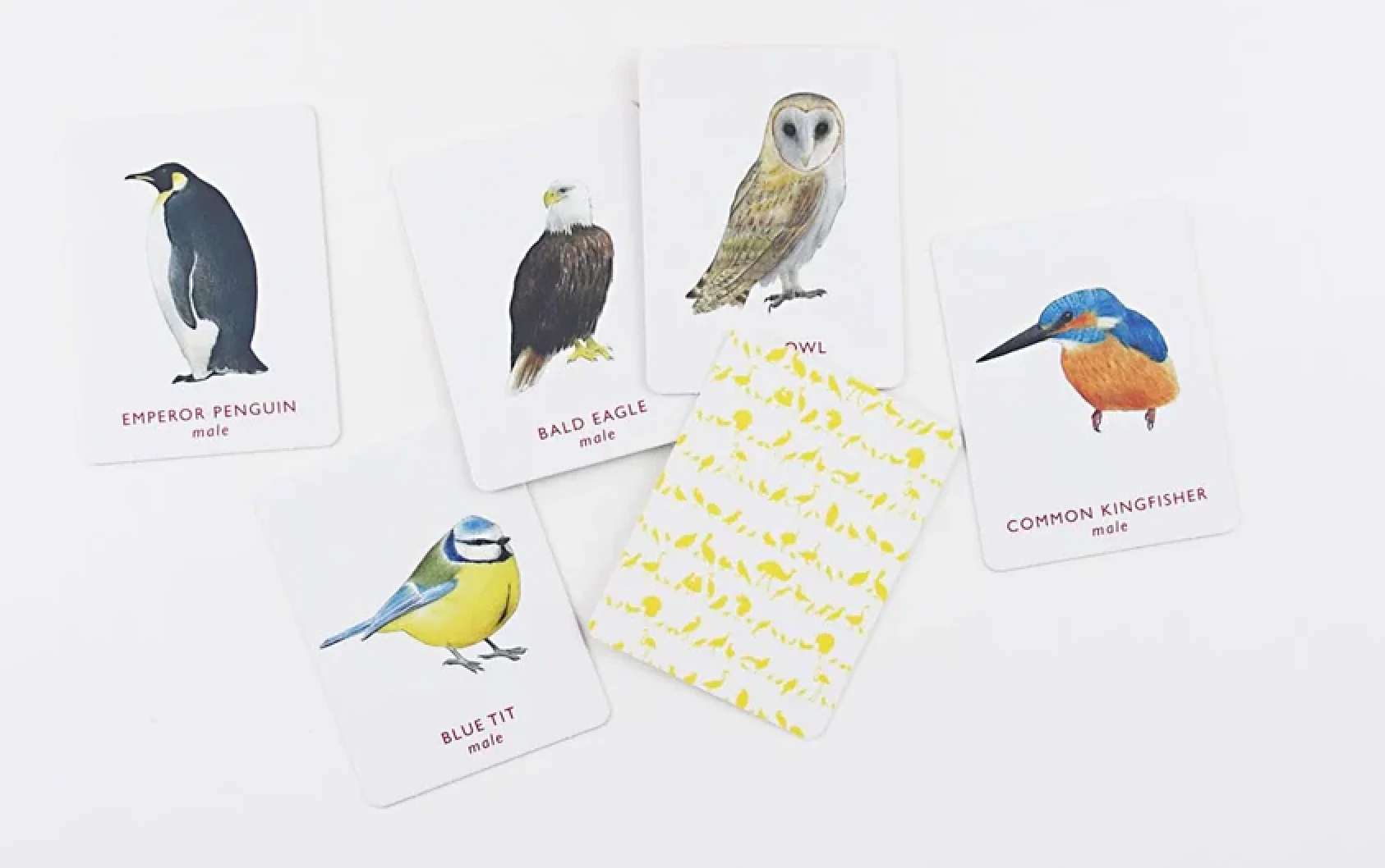 Match a Pair of Birds Memory Game - Image 4