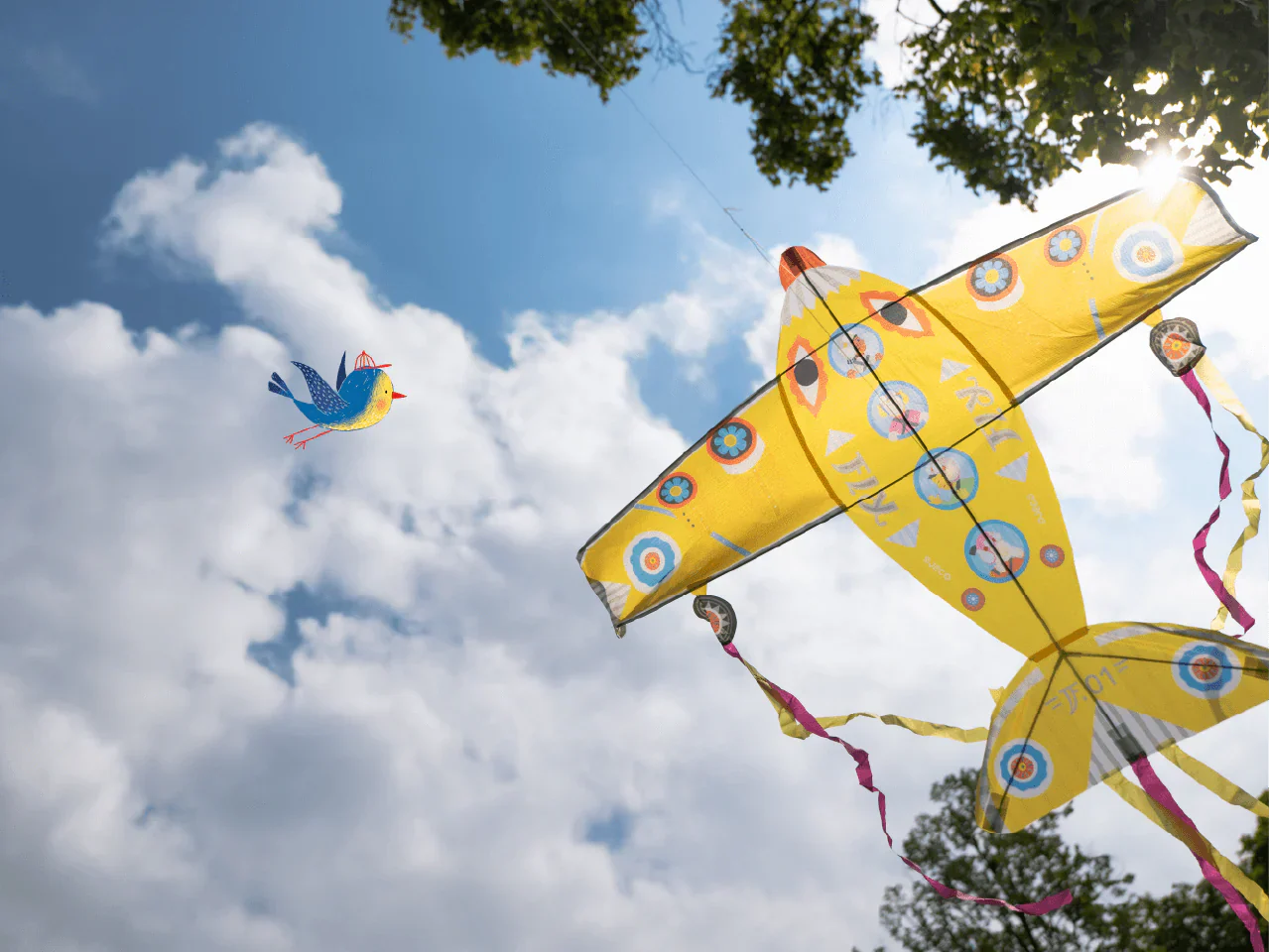 Giant Plane Kite - Image 2