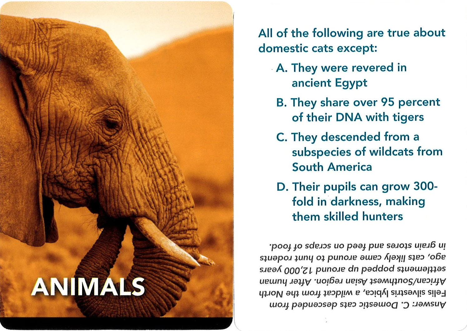 Smithsonian Natural History Trivia - Image 6