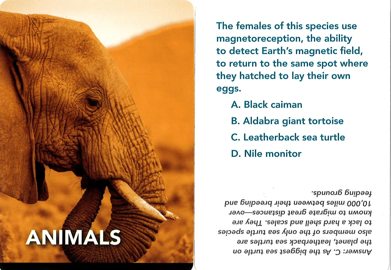 Smithsonian Natural History Trivia - Image 7