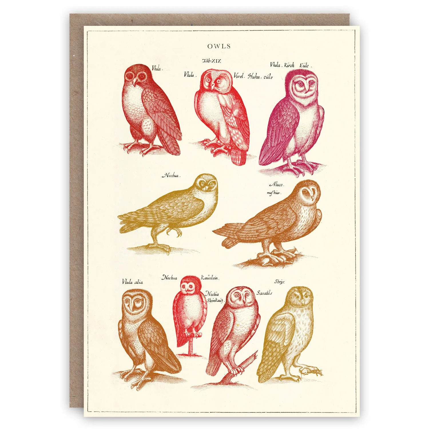 The Natural World Greeting Card Collection - Image 5