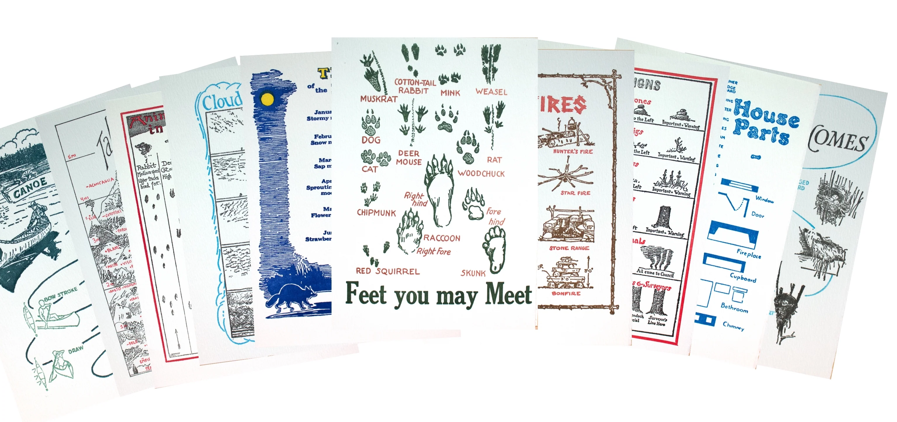 Nature-Inspired Letterpress Cards Set - Image 12