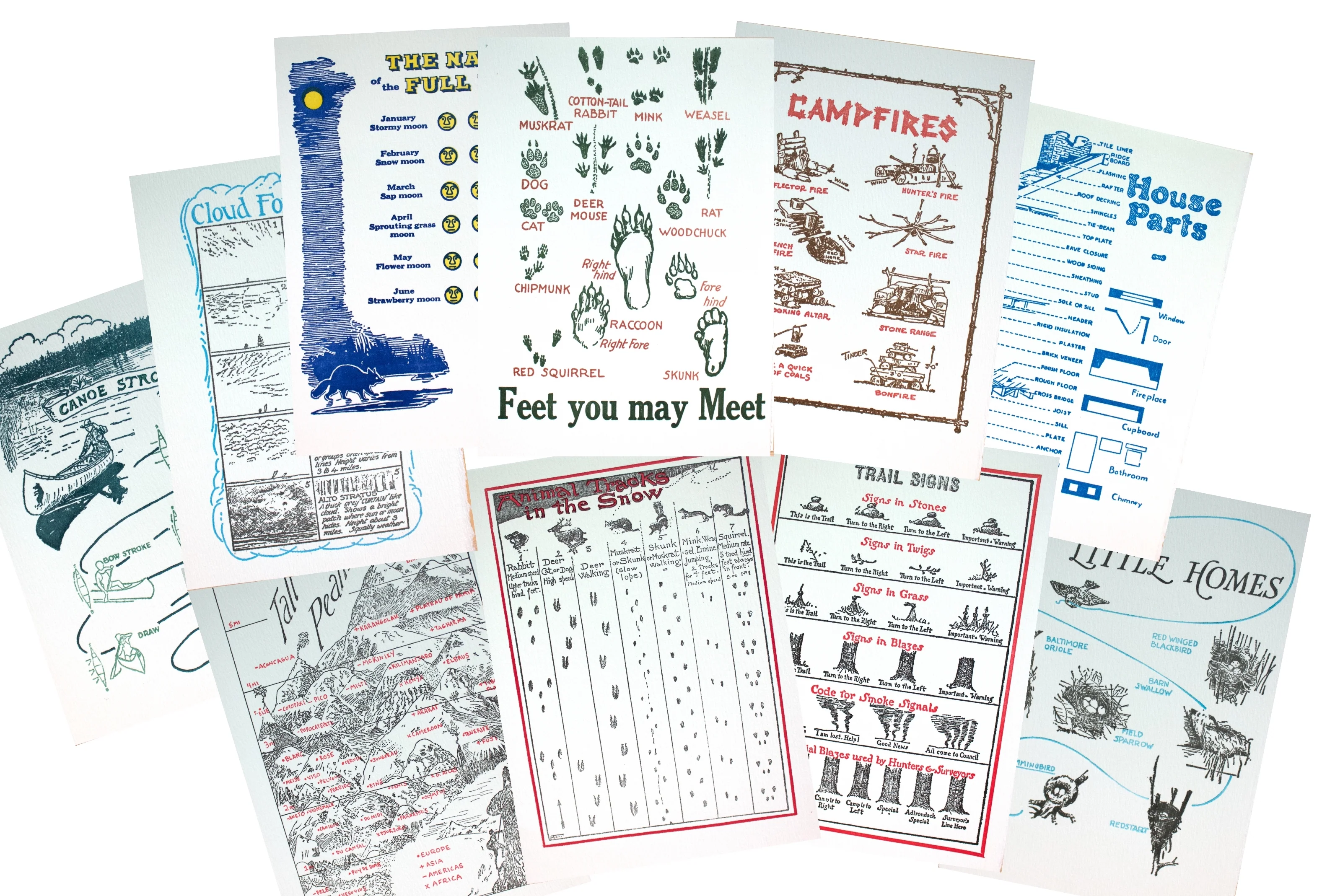 Nature-Inspired Letterpress Cards Set - Image 2