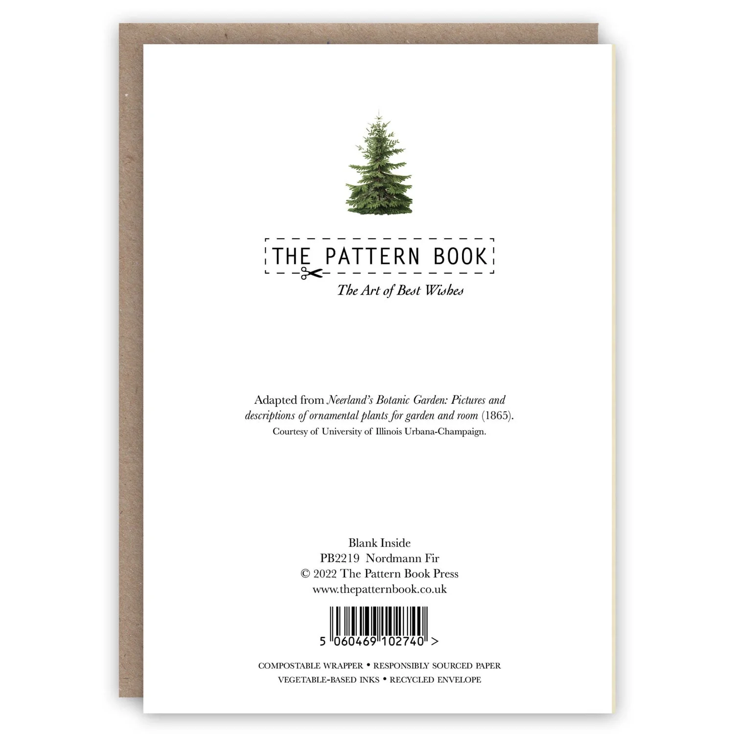 Nordmann Fir Holiday Card Set - Image 2