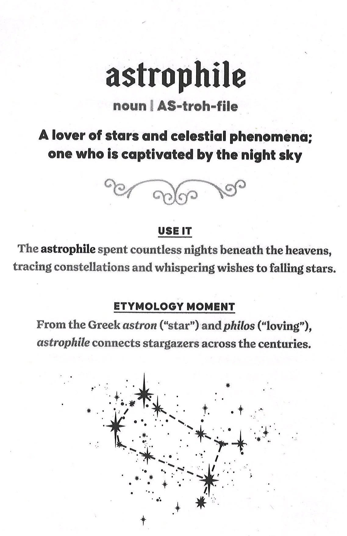 The Dictionary of Obscure and Enchanting Words - Image 3