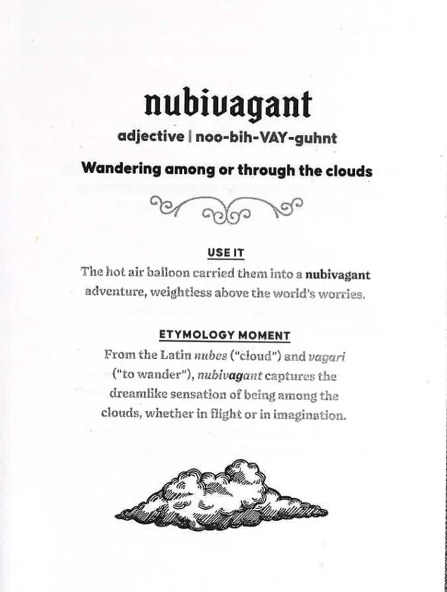 The Dictionary of Obscure and Enchanting Words - Image 4